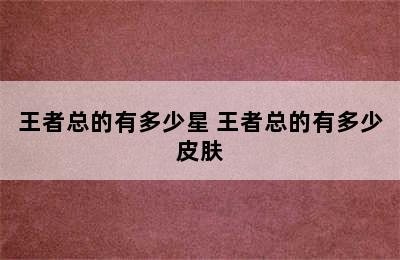 王者总的有多少星 王者总的有多少皮肤